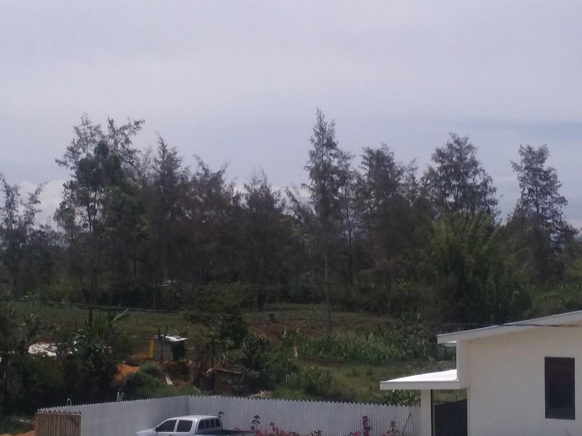 מאונט הייגן Mcroyal Hotel מראה חיצוני תמונה